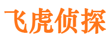 临川外遇取证